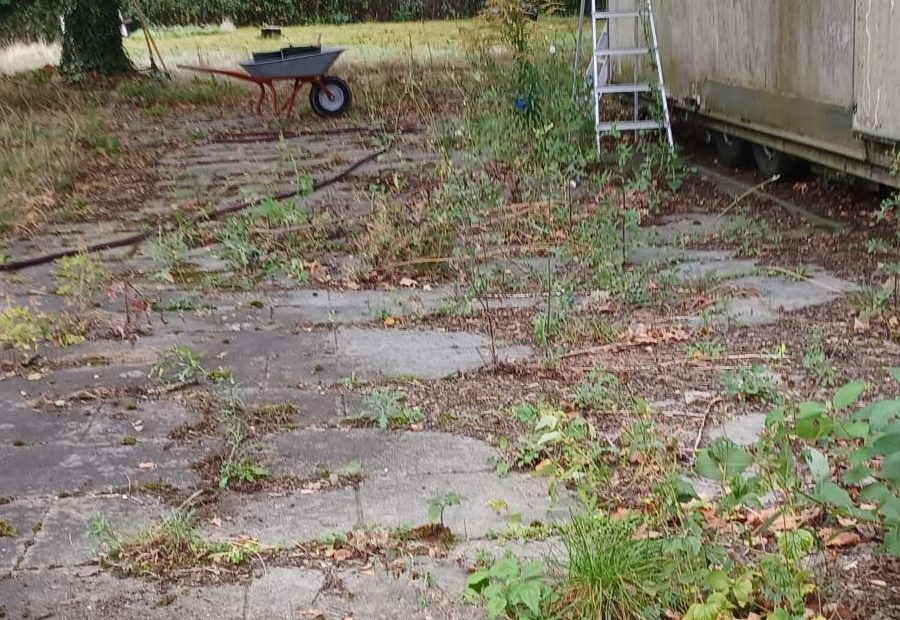 IMG_20231008_090410_564